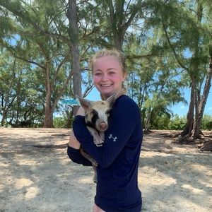 Meet your Posher, Harper